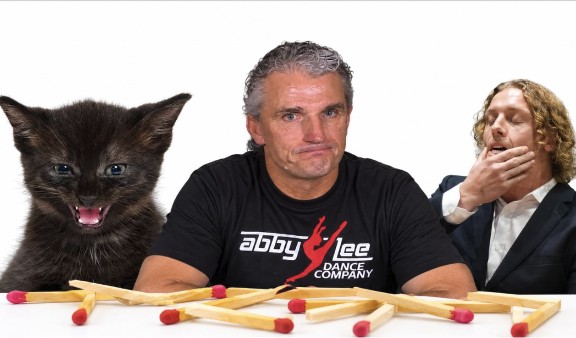 A hissing black kitten beside two men, with a row of snapped matchsticks in front of them.